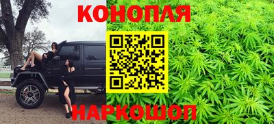 прущие грибы Беслан