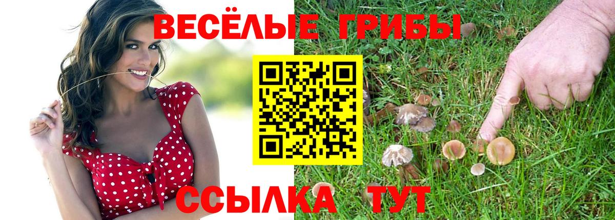 Псилоцибиновые грибы Psilocybe  Вход с VPN  Десногорск 